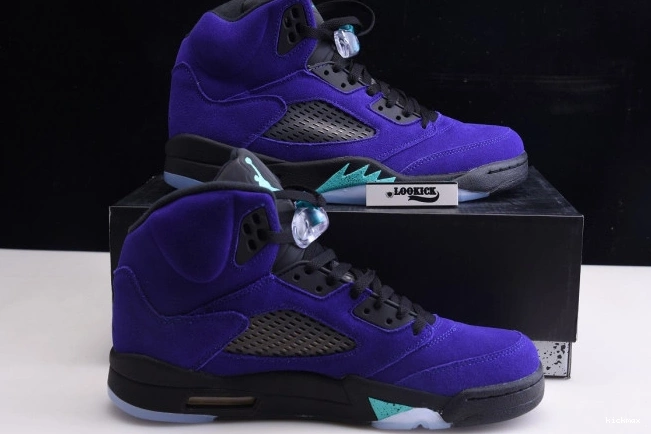 Rep Air Jordan Alternate 136027-500 Retro Grape 5 0811